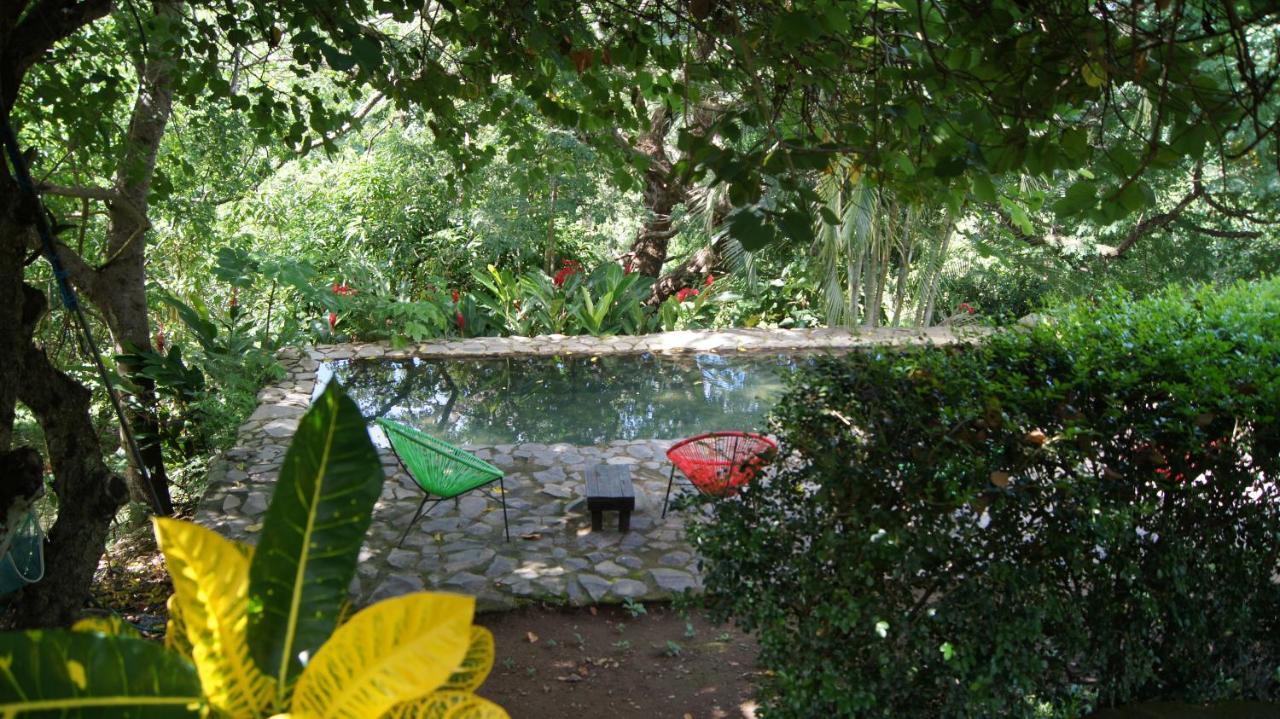 Casa Rural Aroma De Campo Curubande エクステリア 写真