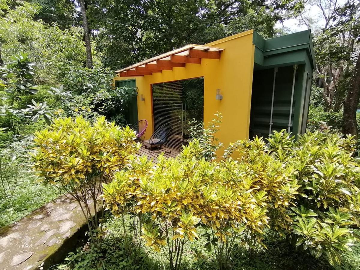 Casa Rural Aroma De Campo Curubande エクステリア 写真