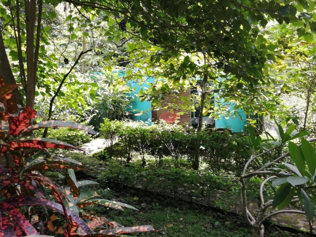 Casa Rural Aroma De Campo Curubande エクステリア 写真