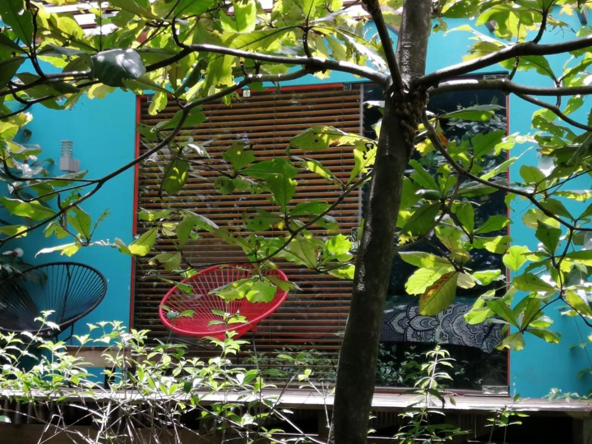 Casa Rural Aroma De Campo Curubande エクステリア 写真