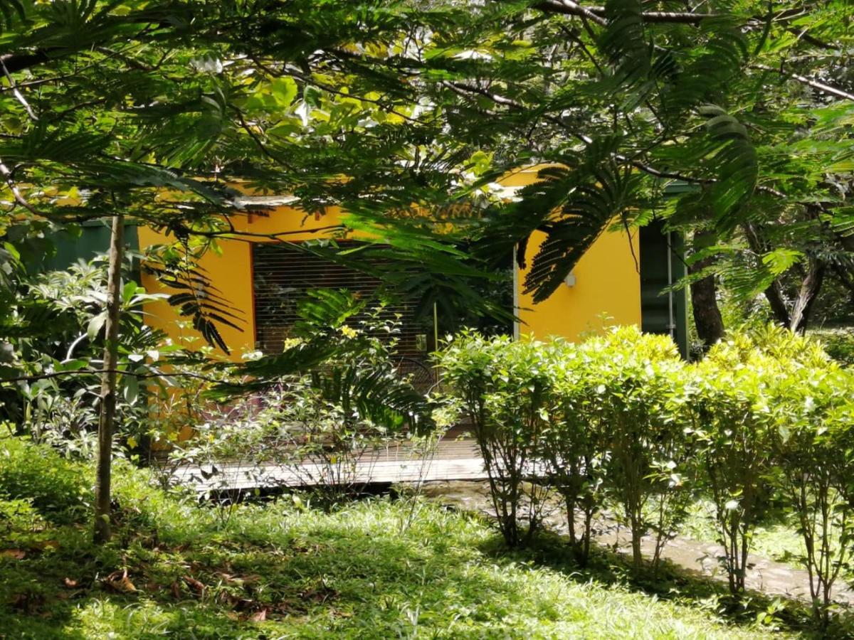 Casa Rural Aroma De Campo Curubande エクステリア 写真