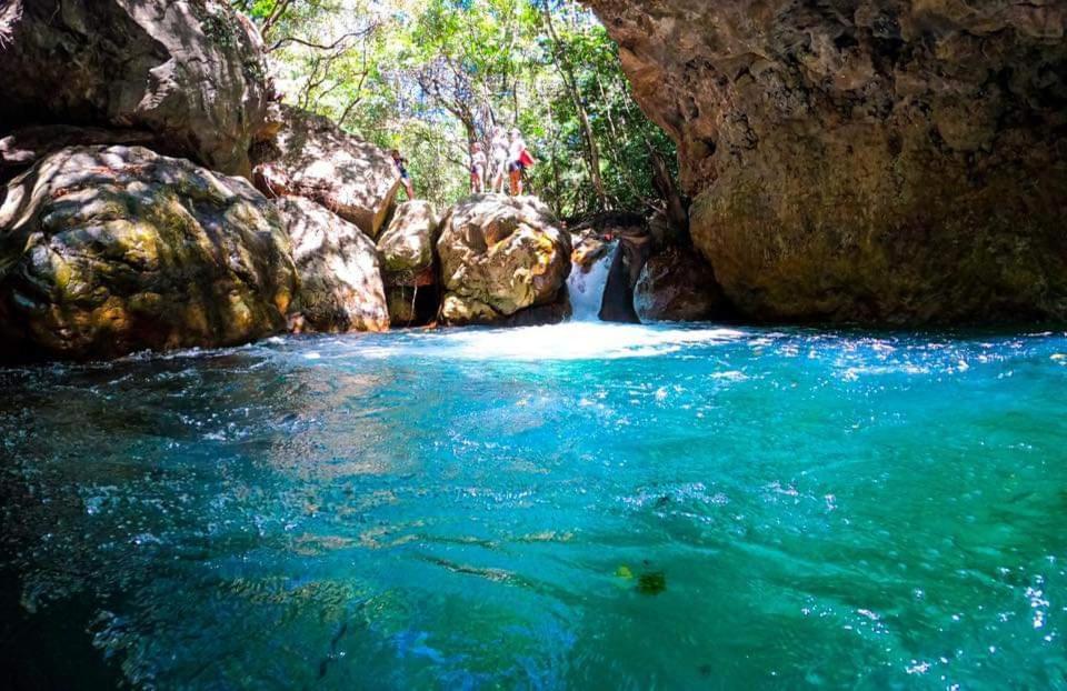 Casa Rural Aroma De Campo Curubande エクステリア 写真