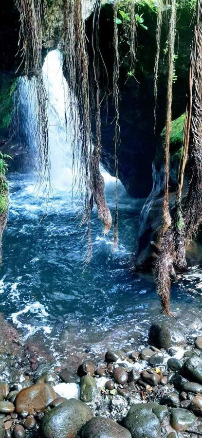Casa Rural Aroma De Campo Curubande エクステリア 写真