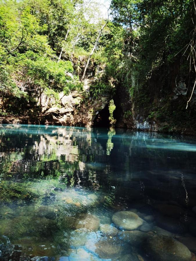 Casa Rural Aroma De Campo Curubande エクステリア 写真