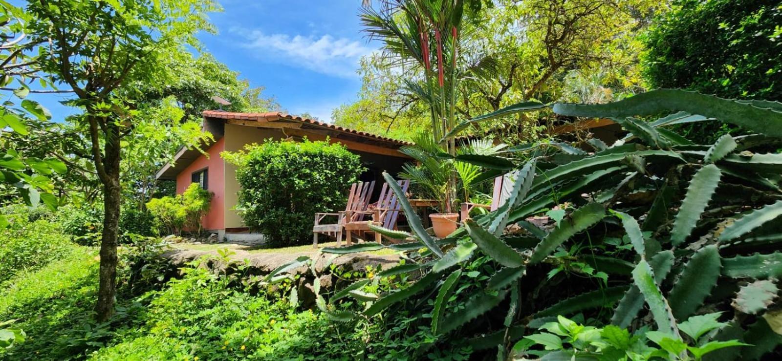 Casa Rural Aroma De Campo Curubande エクステリア 写真